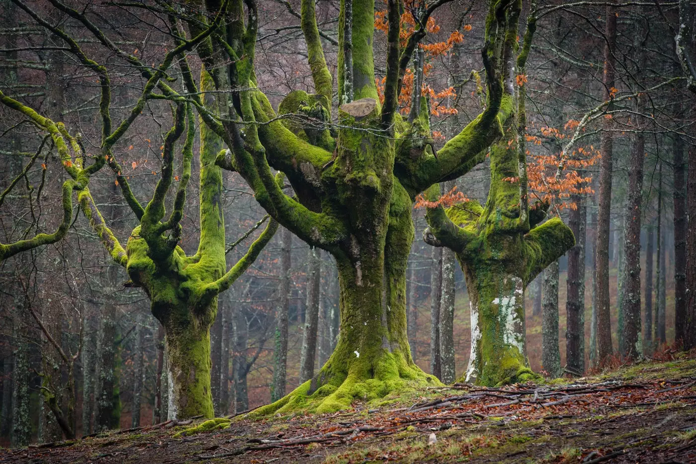 Wandern ist hier Religion