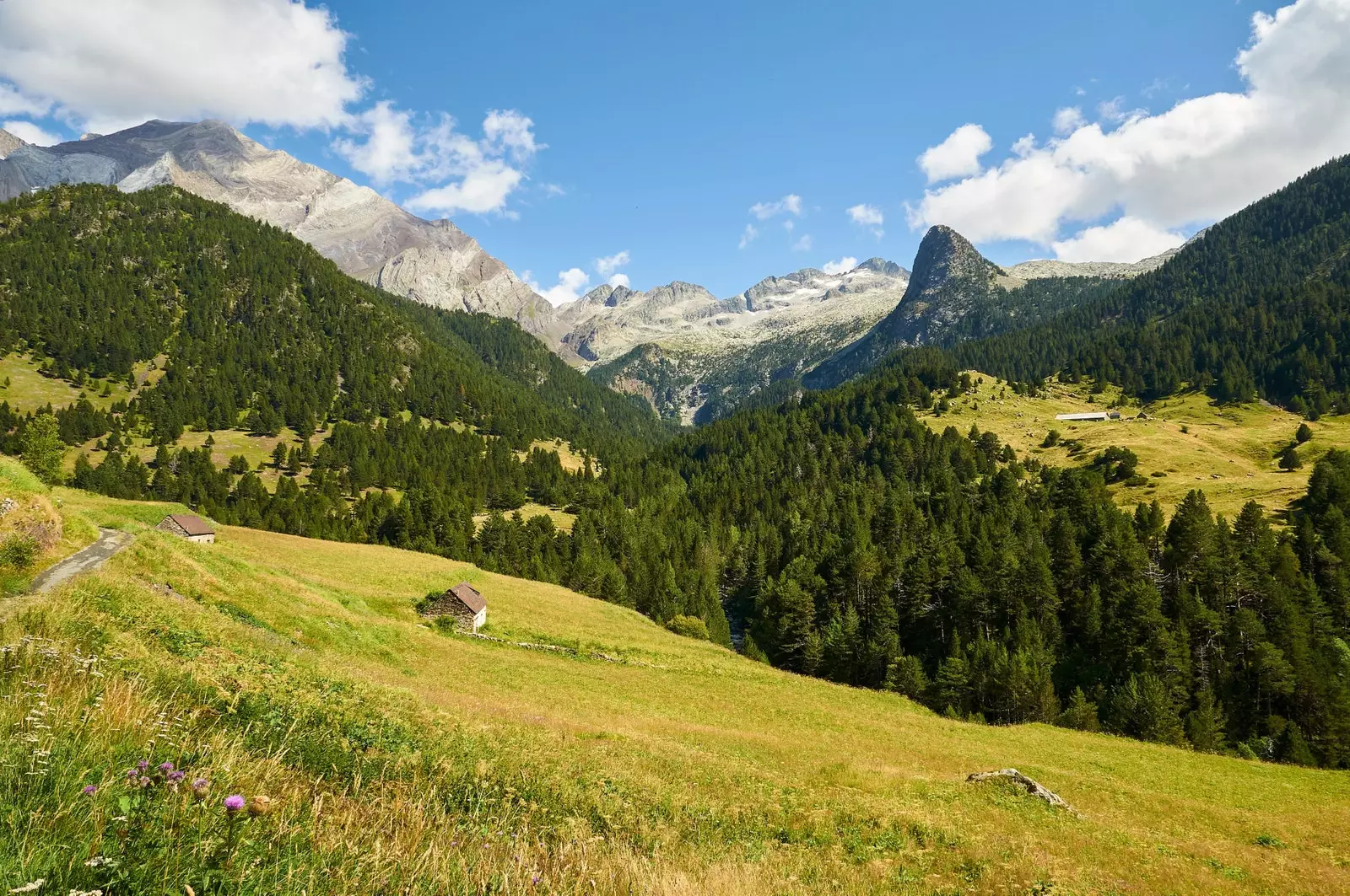 Bordas de pastores í Pyrenees Aragons.