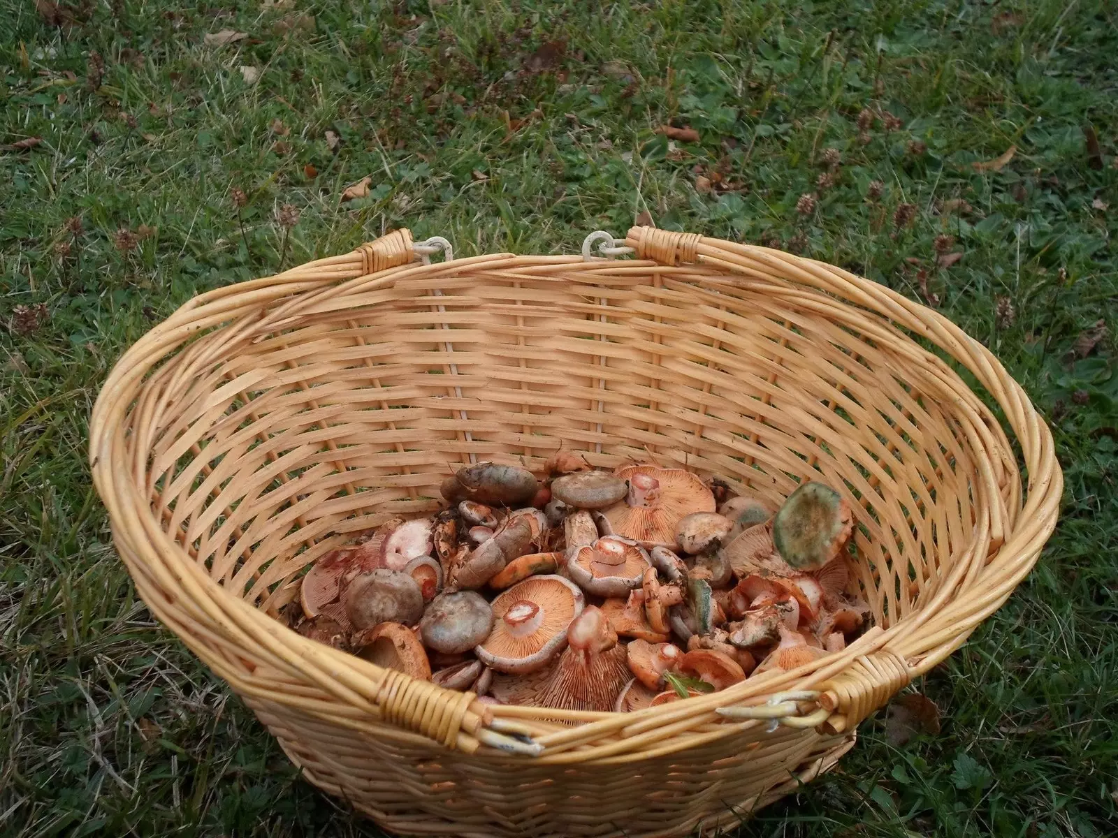 In season ask for mushrooms.