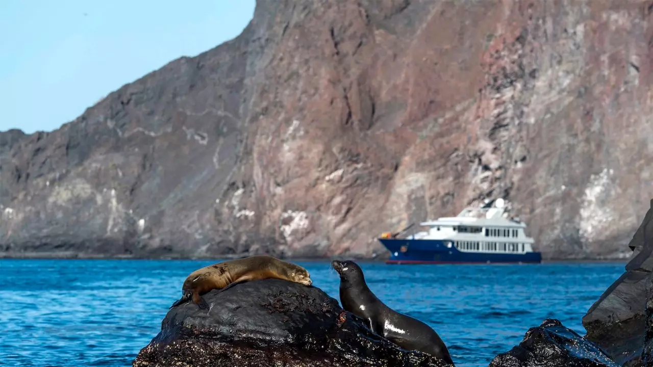 Această croazieră în Galapagos este visul iubitorilor de animale