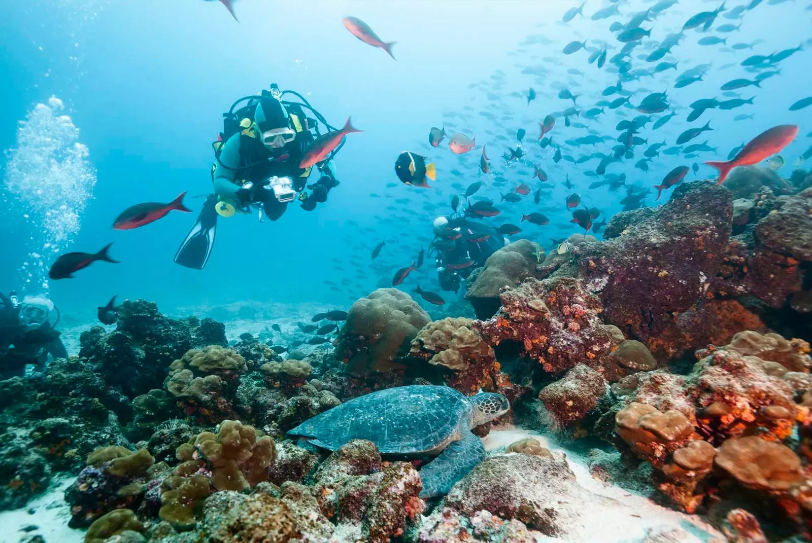 Galapgos'un deniz yatağı