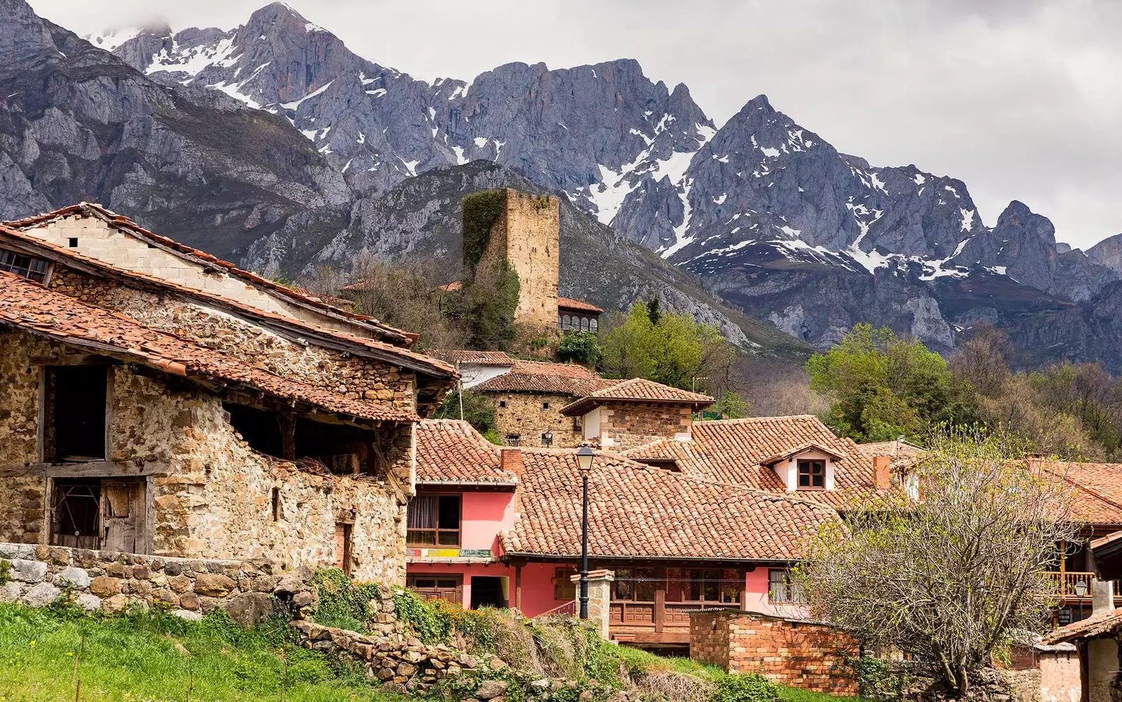 Mogrovejo Picos de Europa. Livan Cantabria