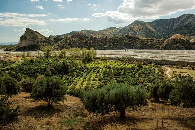 Estadia de fazenda em Aspromonte sobre laranjais de bergamota no Agriturismo Il Bergamotto