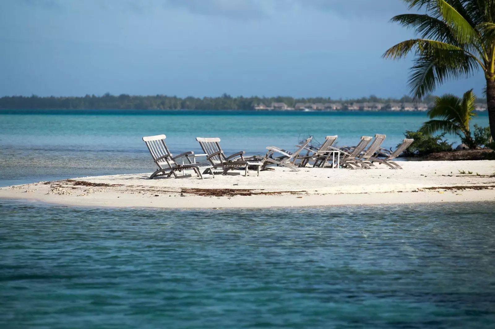 polynesia ya kifaransa