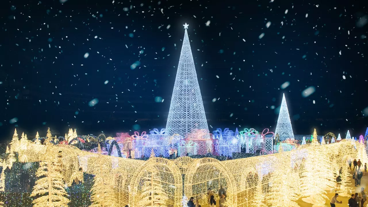 The world's largest Christmas light maze that you'll want to get lost in over and over again