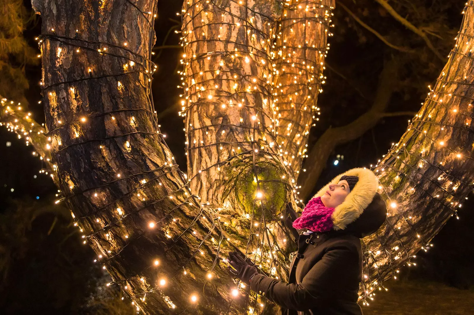 Bustani ya Krismasi ya Berlin