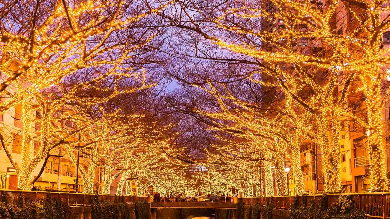 Tokyo will shine like never before this Christmas