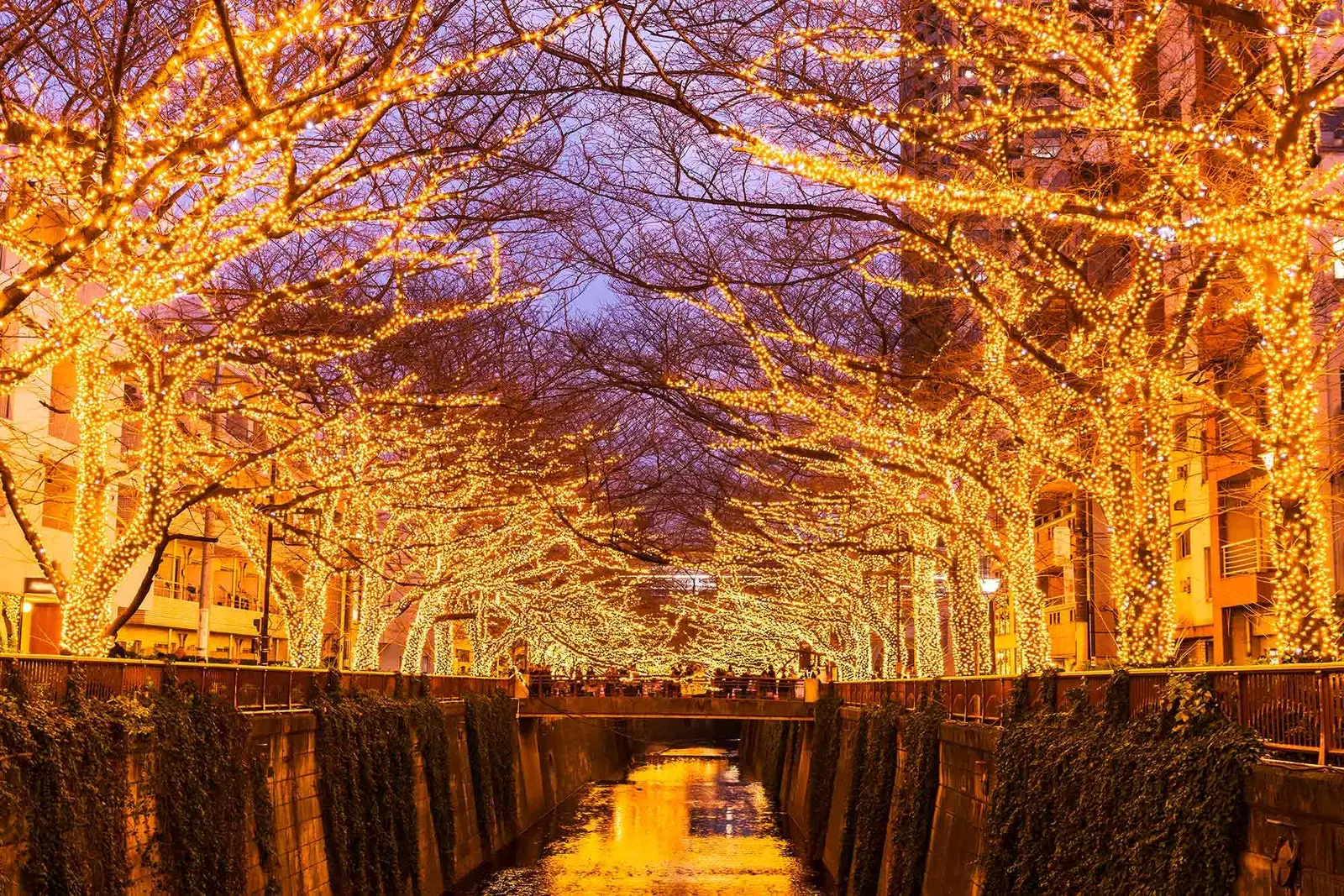 No Japão eles celebram o Natal à sua maneira e como o fazem!