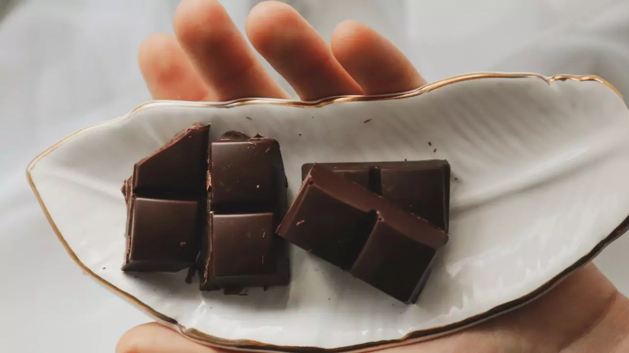 The definitive manual for chocolate lovers