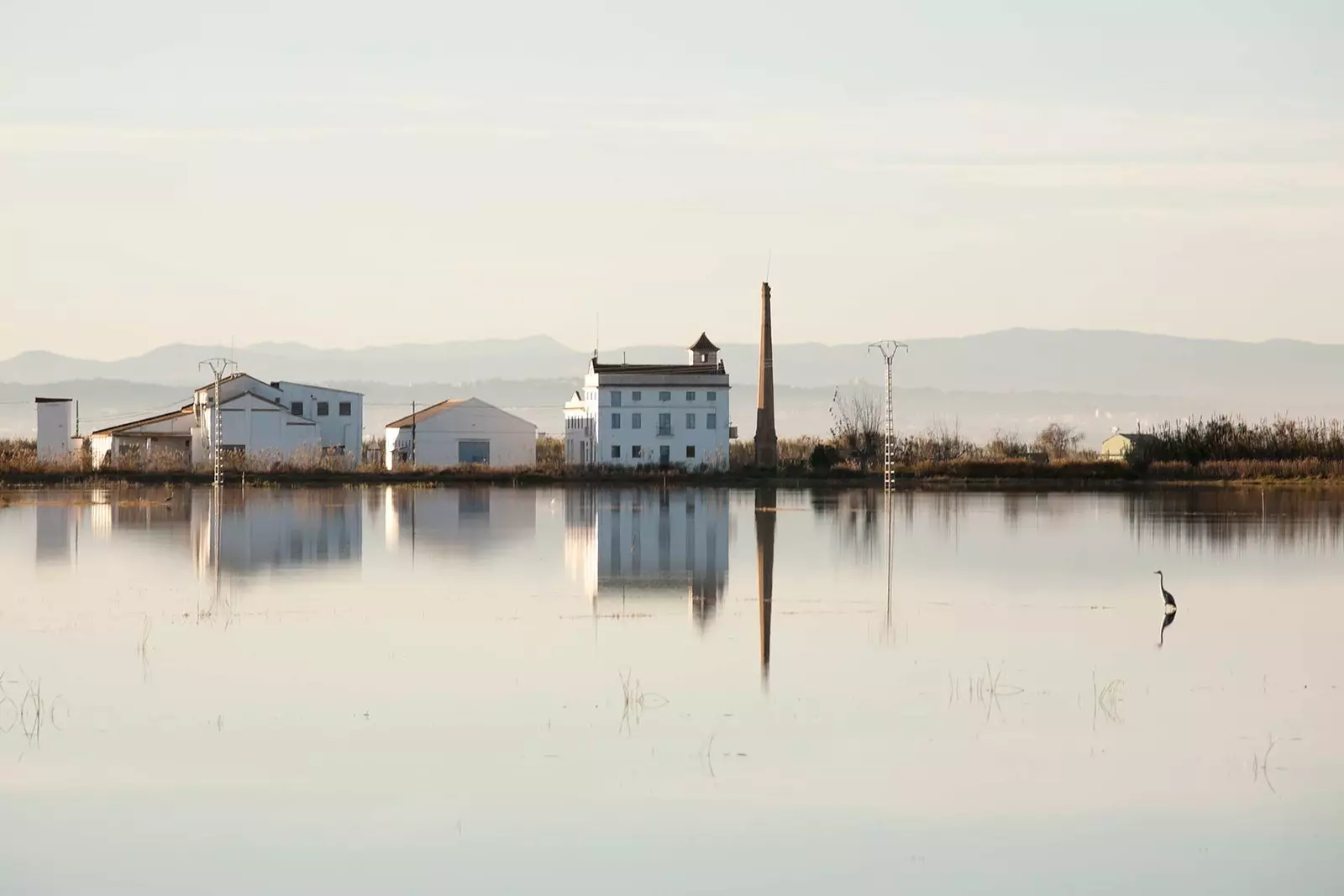 Valensijanska laguna u kojoj se sve rađa