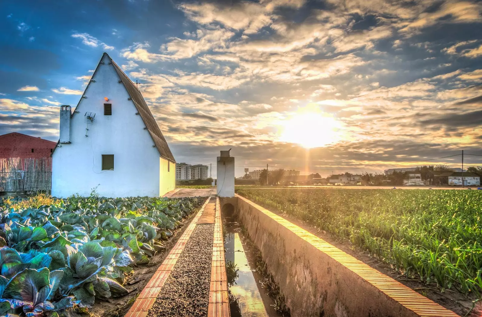 Ode til den valencianske hagen