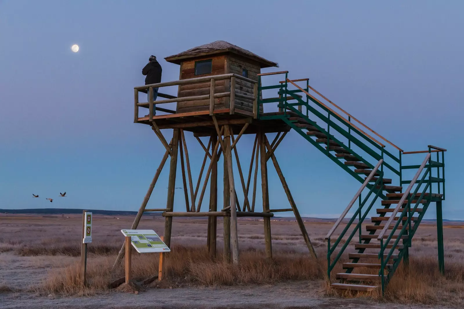 Un réseau d'affûts entoure la lagune de Gallocanta pour l'observation des oiseaux