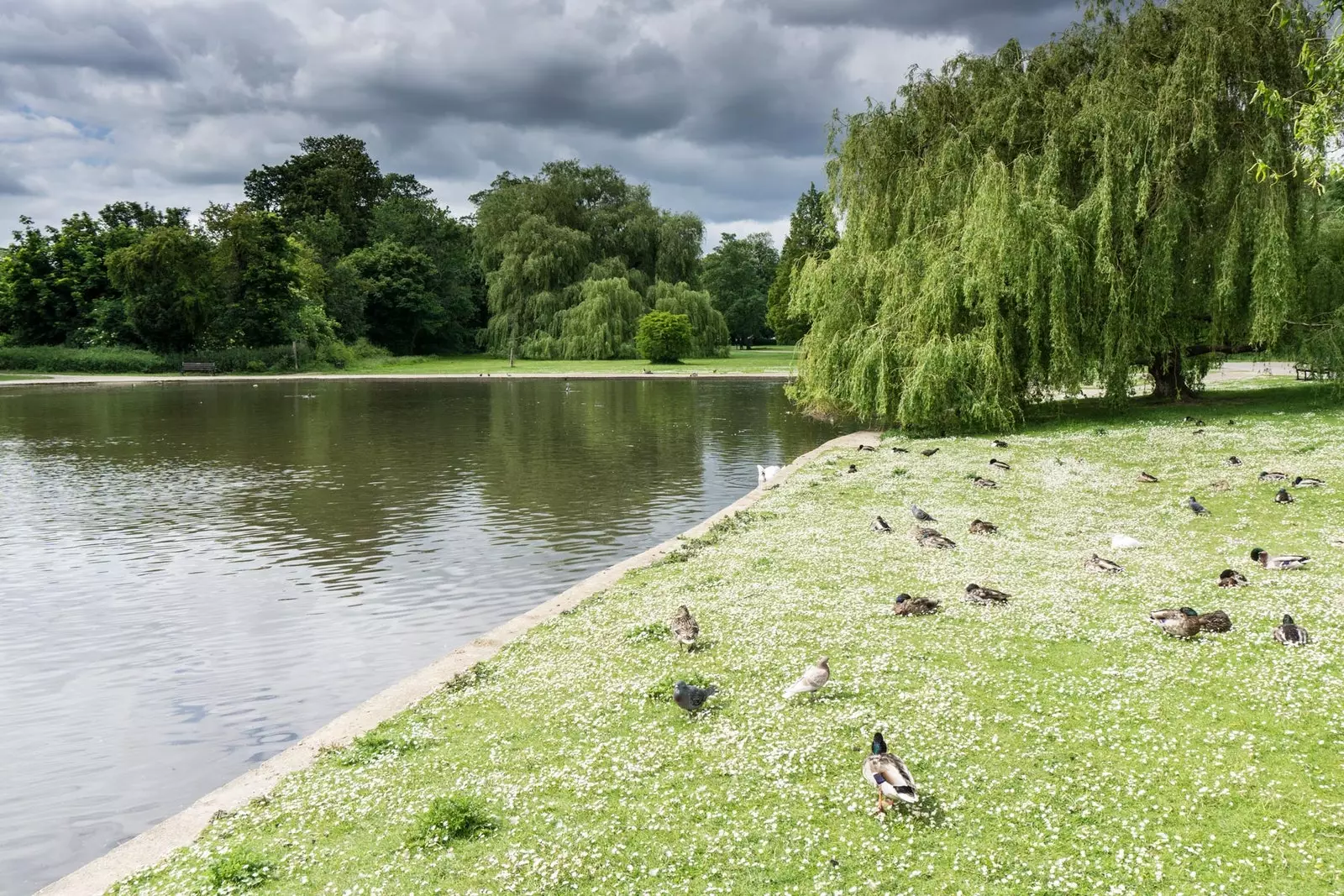 Páirc Verulamium