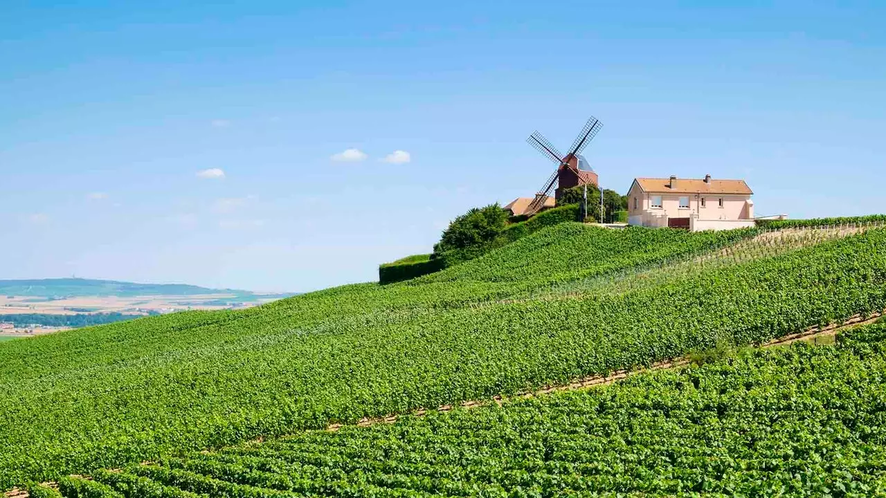 Life in sips: 48 hours of travel through La Champagne