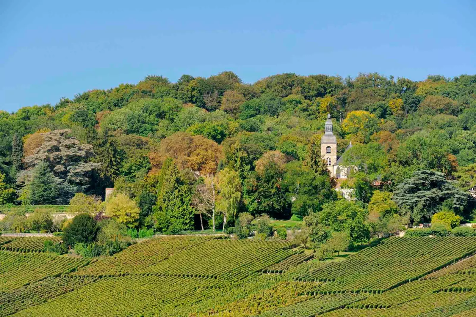 Hautvillers een idyllische wandeling