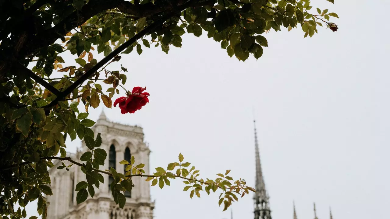 Paris berkabung dengan Notre Dame