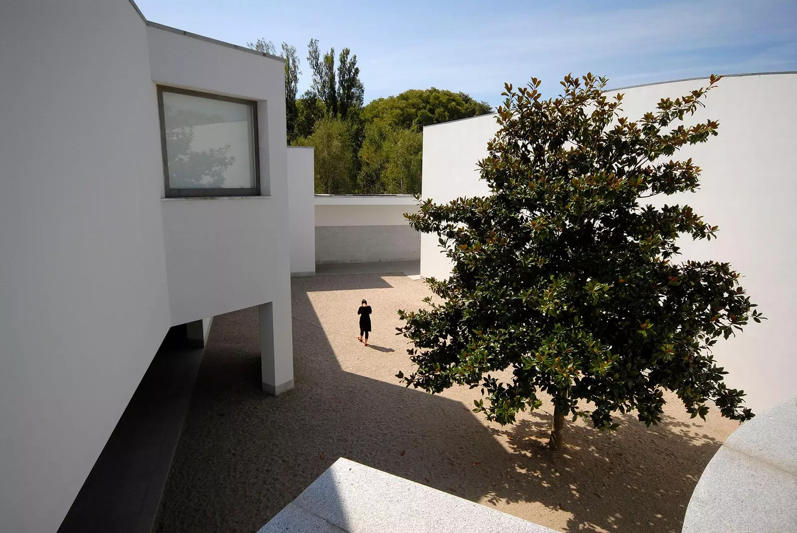 Serralves Foundation