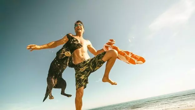 Zomer, dieren en geluk