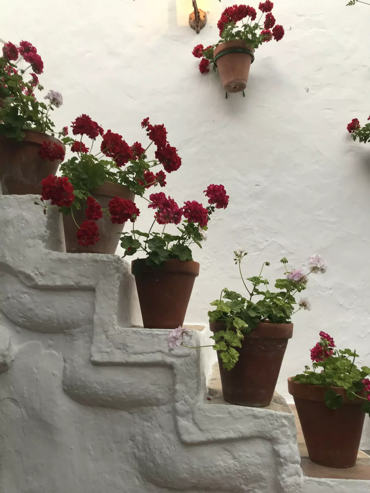 Andalusian patio in La Tertulia, one of the liveliest places in Conil.