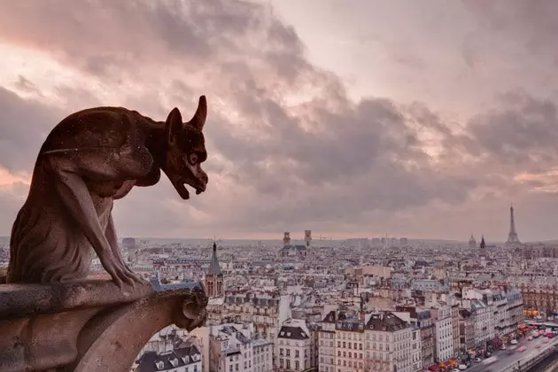 Il-gargoyles ta' Notre Dame