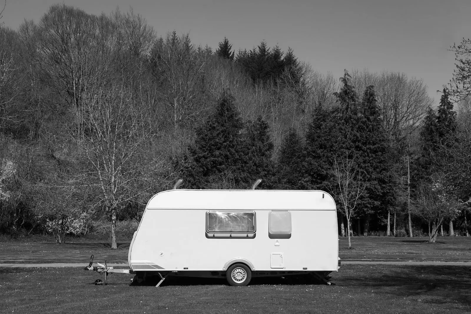 Photographies de Paola Lozano pour 'Le langage des forêts'.