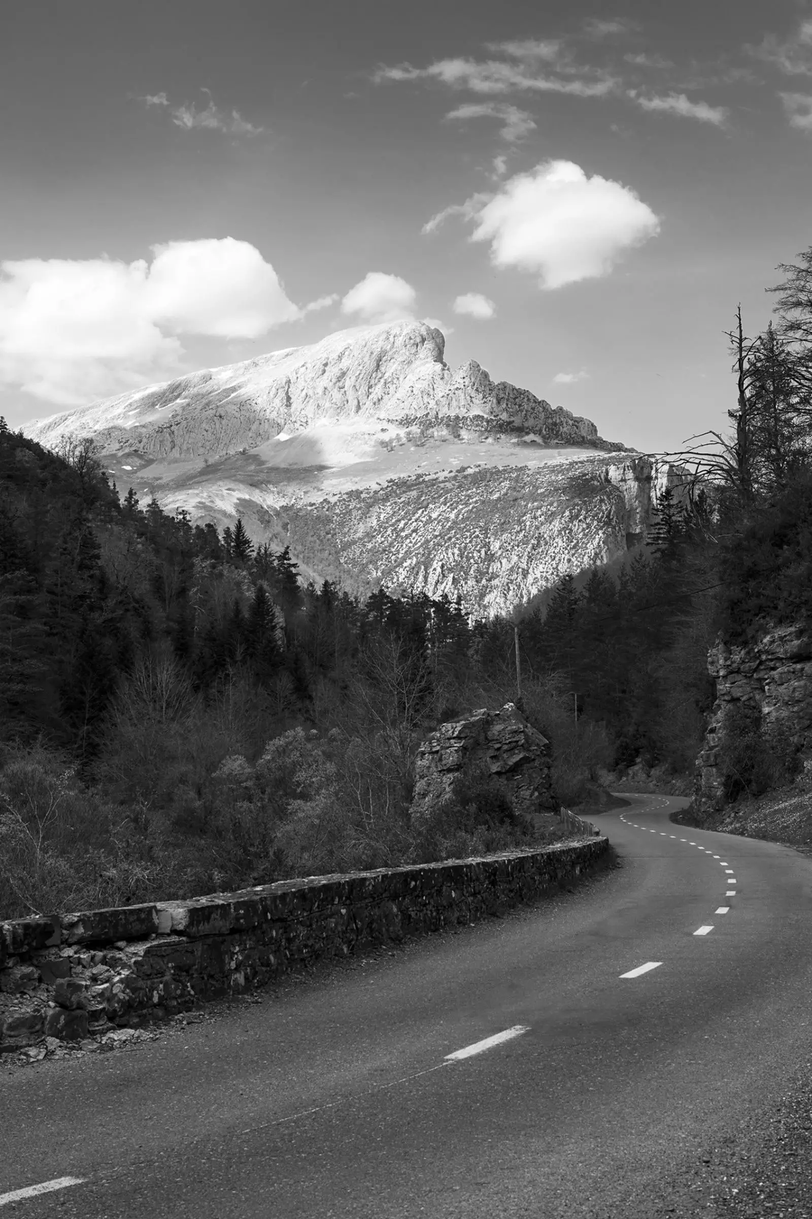 Que cachent les forêts du Baztan ?