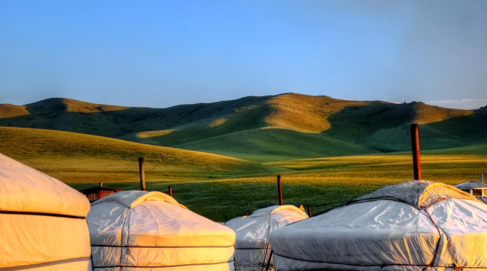 سوف تجد فقط فندقًا في Hustai National Park