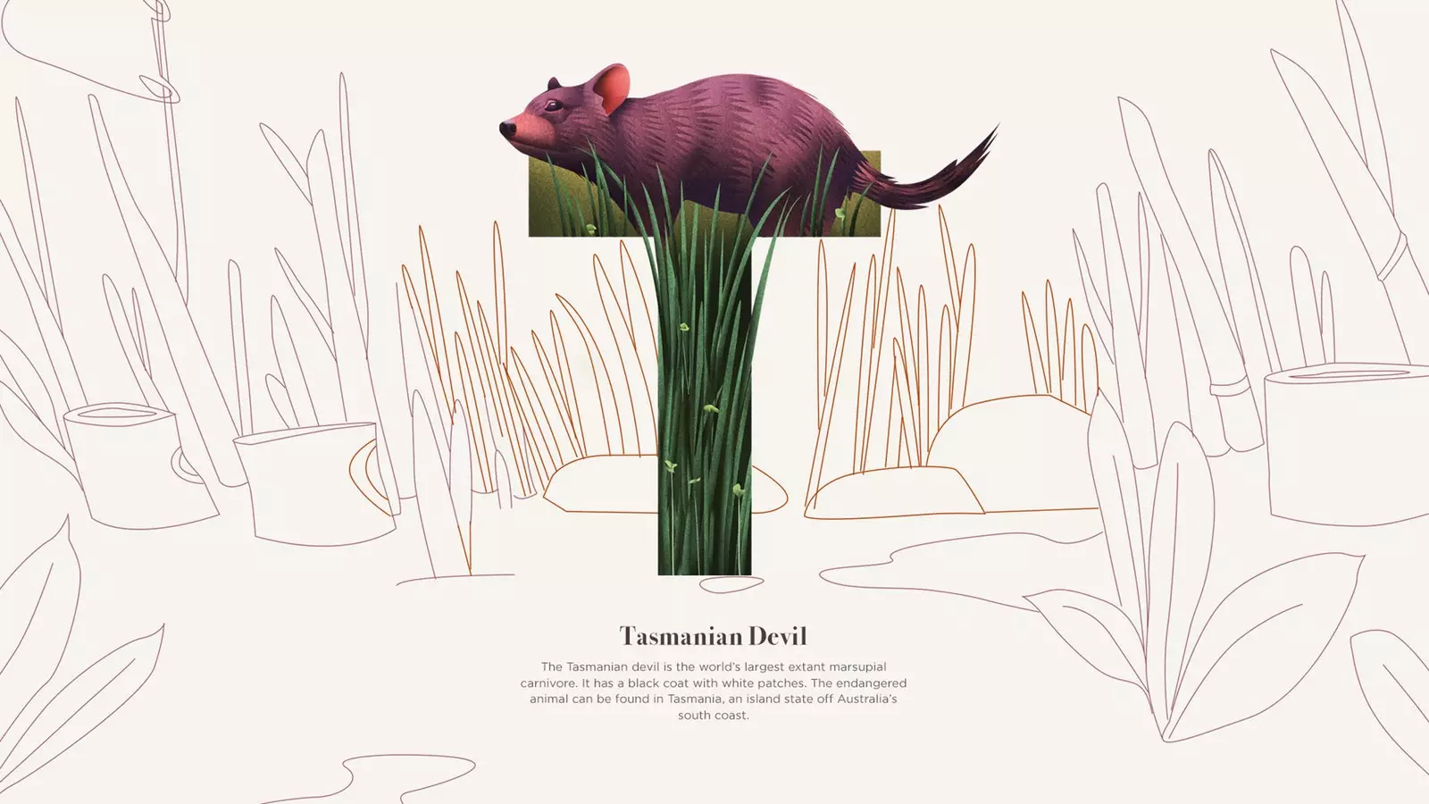 Tasmanian Devil