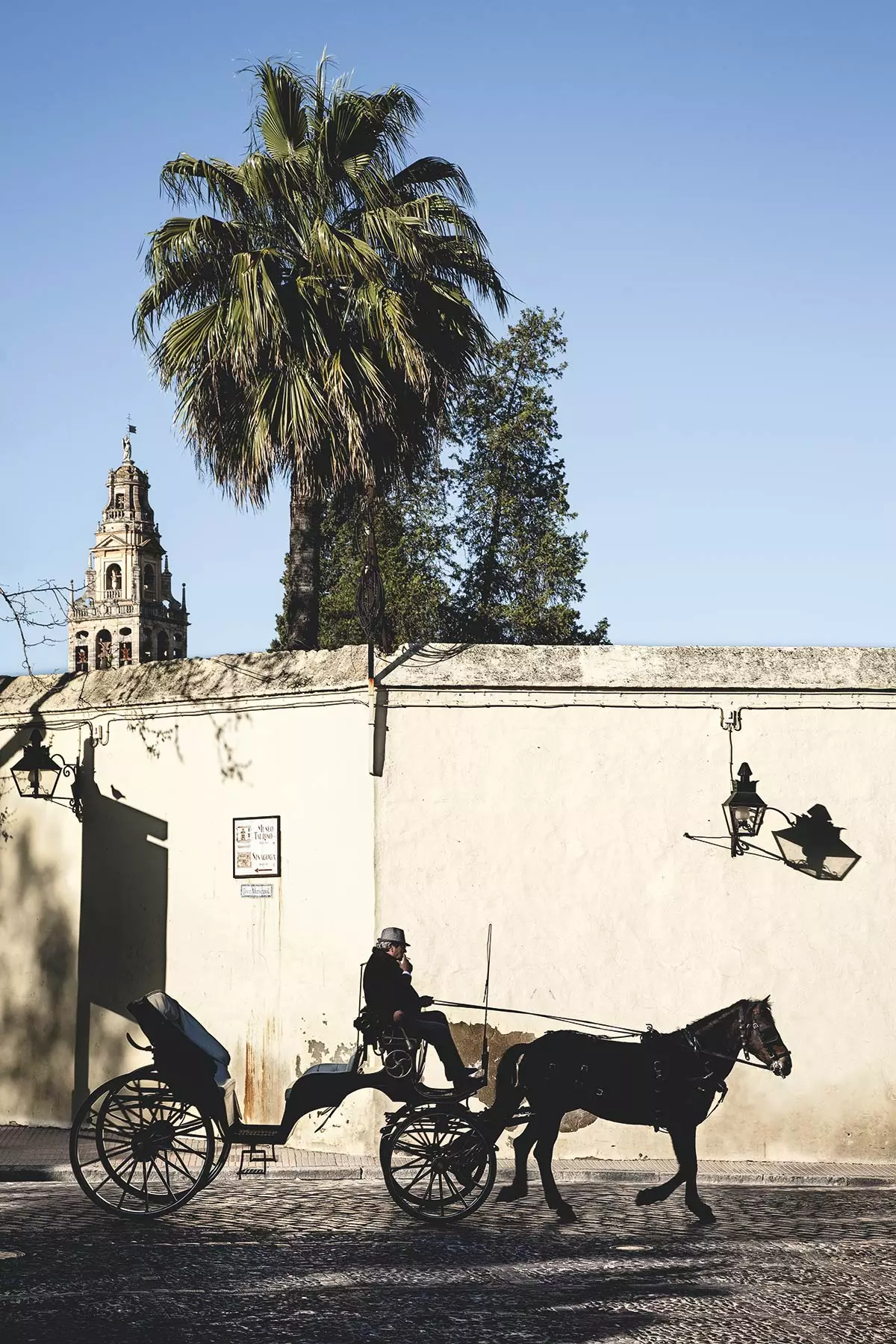 Royal Stables Street Cordoba