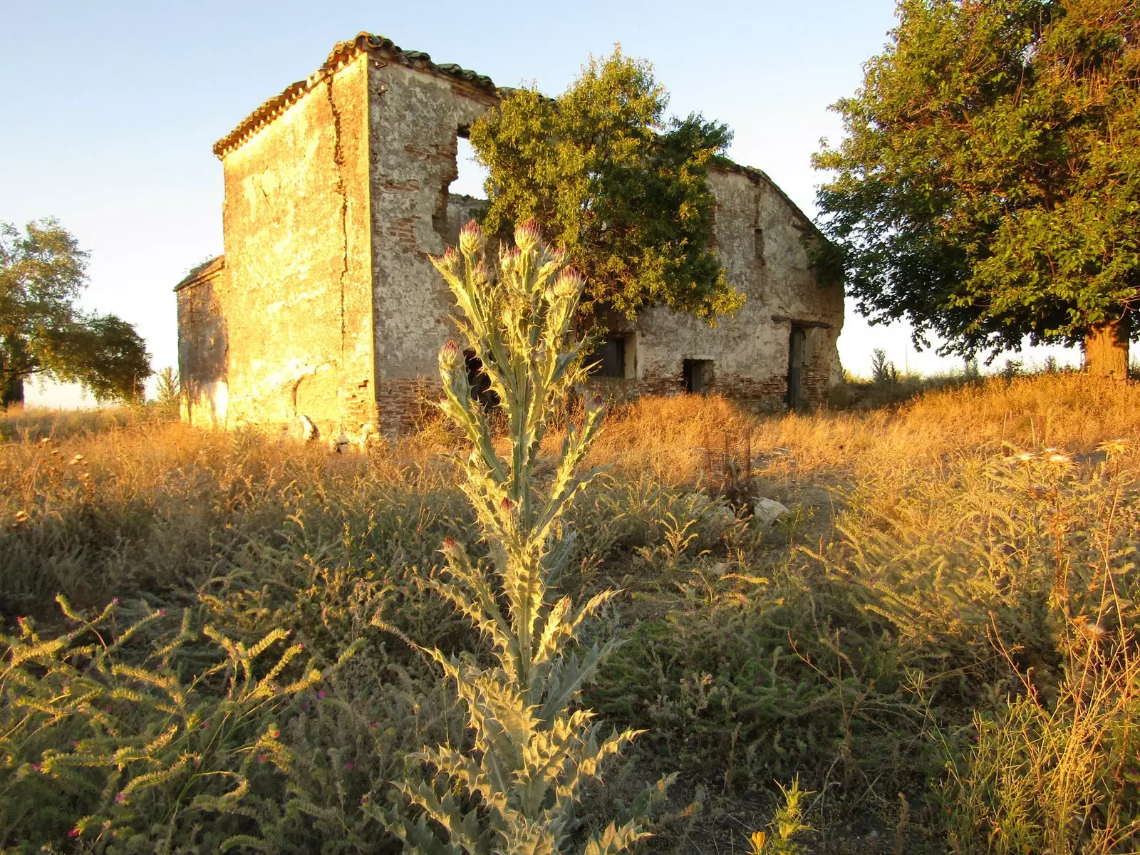 Obyvatelia Caudilla opustili svoje domovy a presťahovali sa do Val de Santo Domingo.