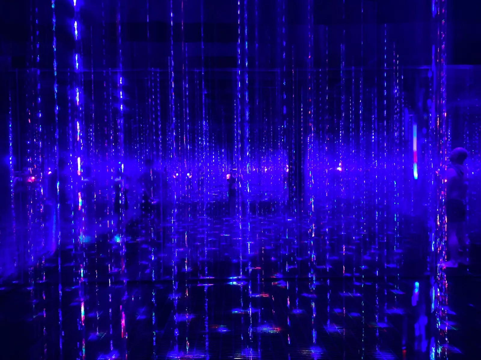 teamLab Reconnect-Projekt in Tokio.