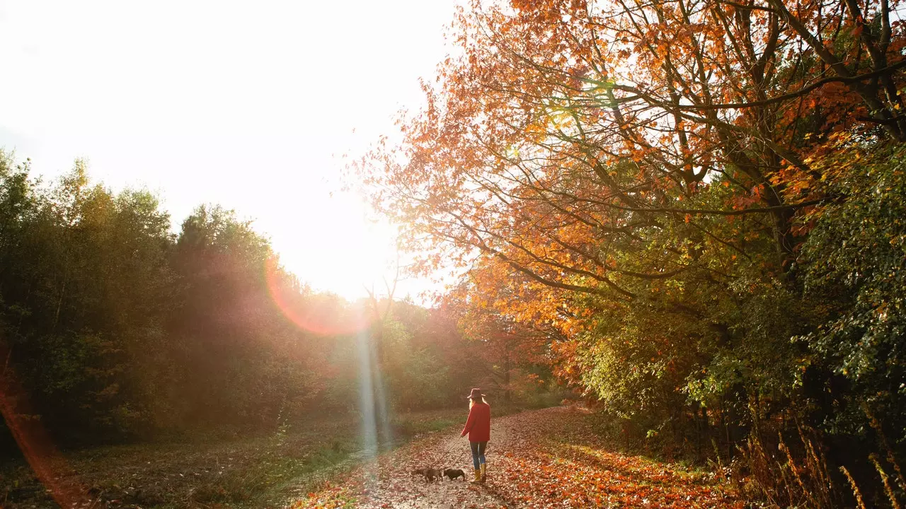 Dites-moi votre signe du zodiaque et je vous dirai où tomber amoureux de l'automne