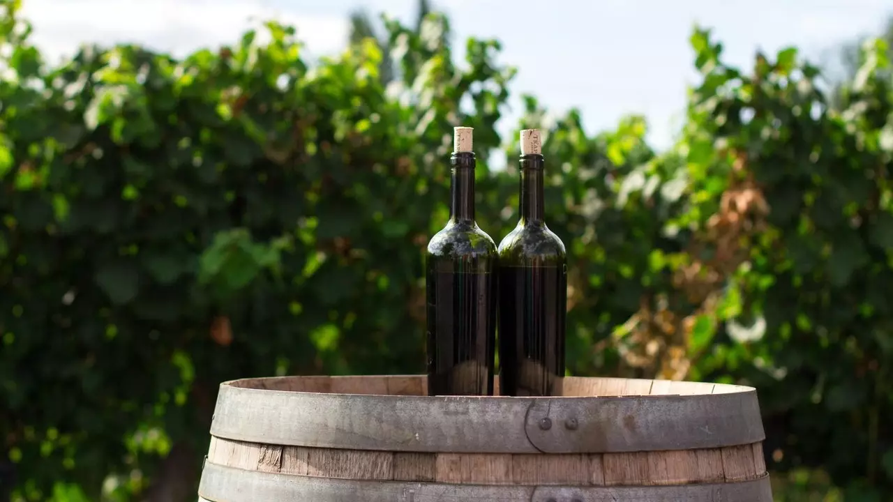 7 vinhos andaluzes naturais para beber a vida