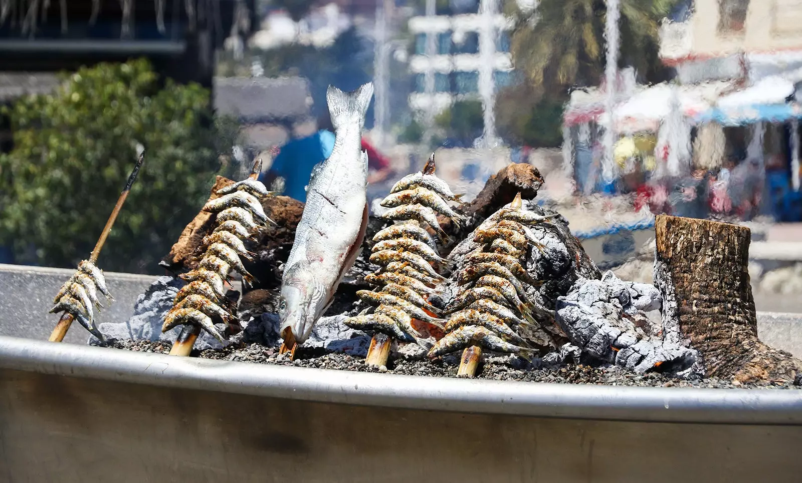 Sardines et brochettes de poisson