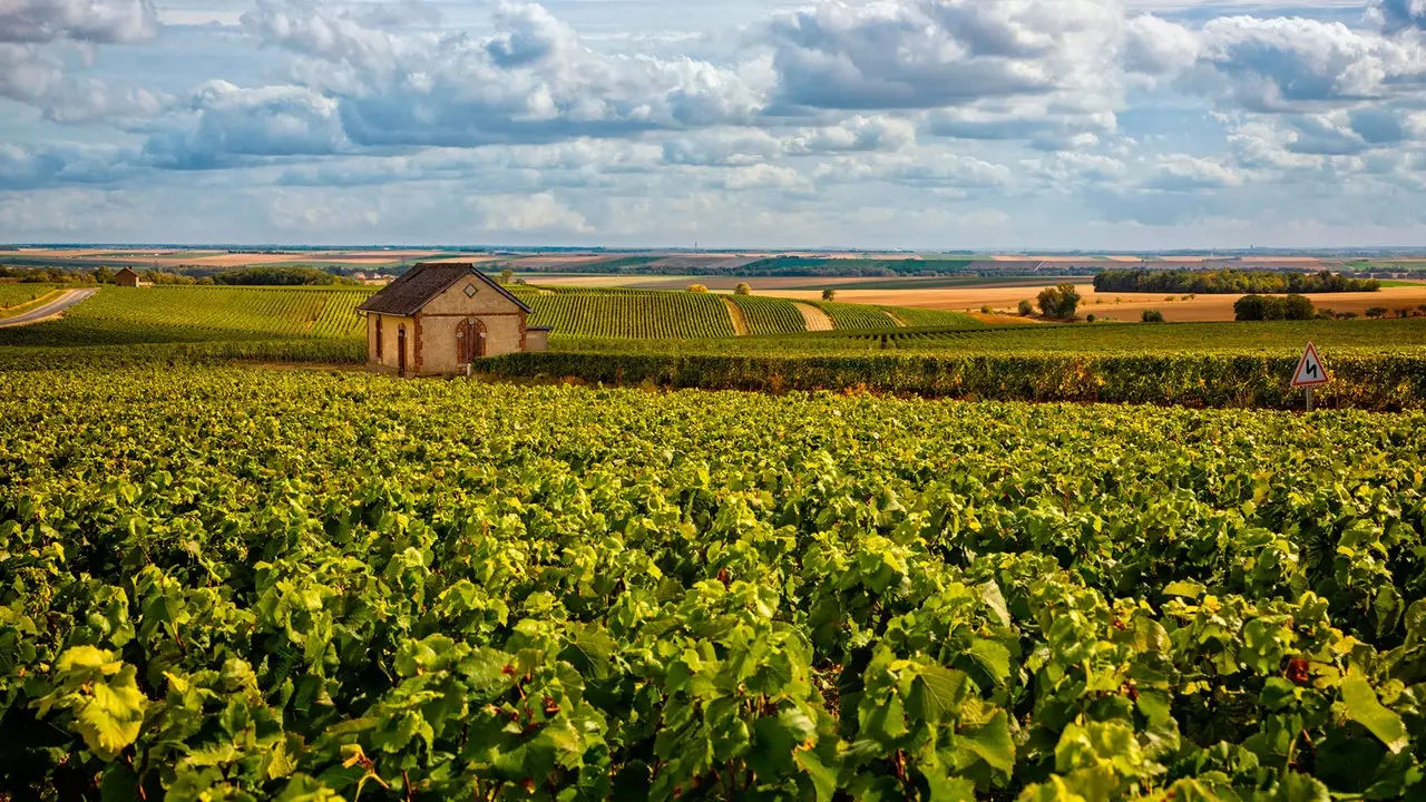 De pobles i vins: viatja sobre una ampolla