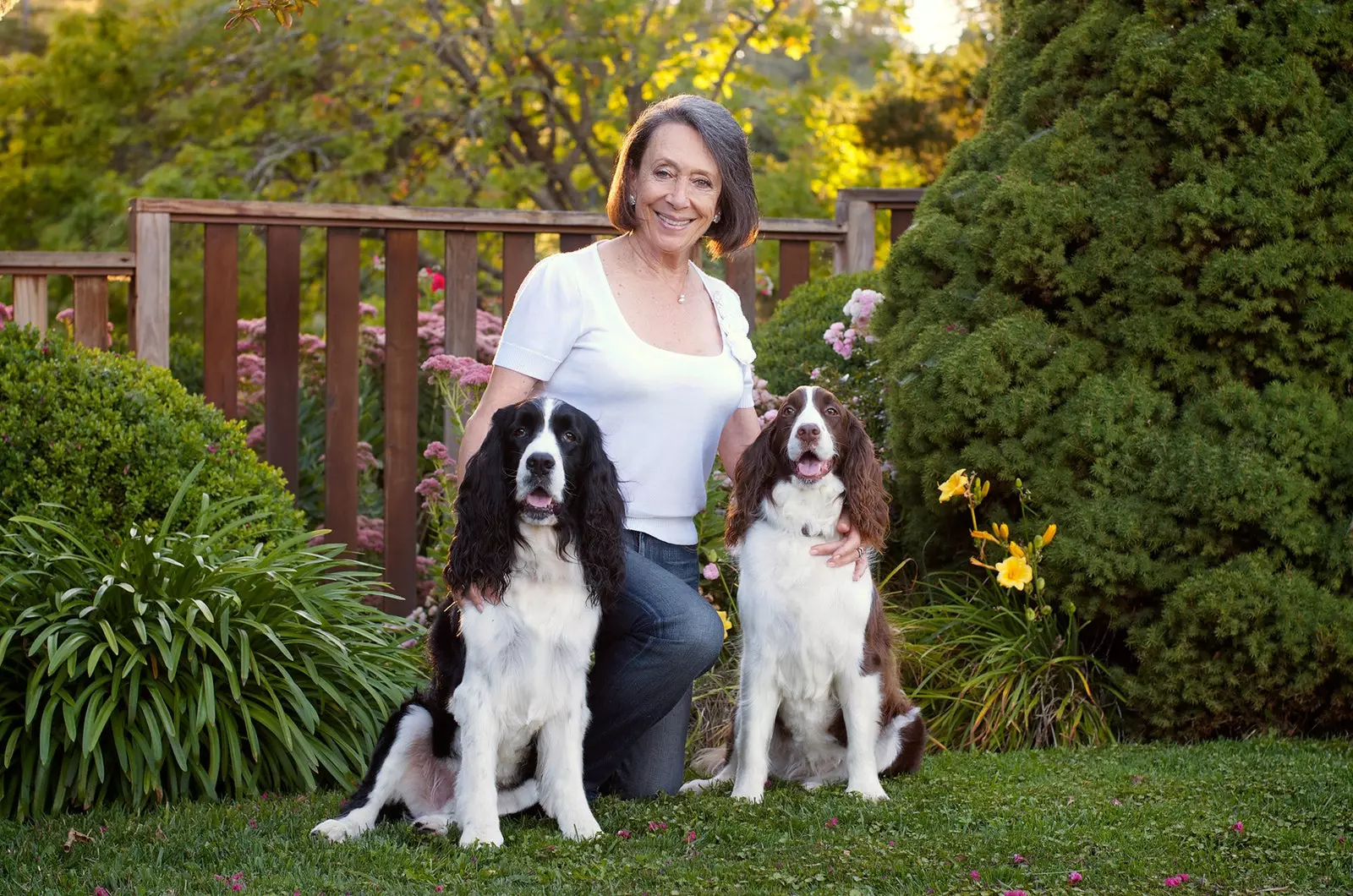 Marimar Torres e seus Springer Spaniels