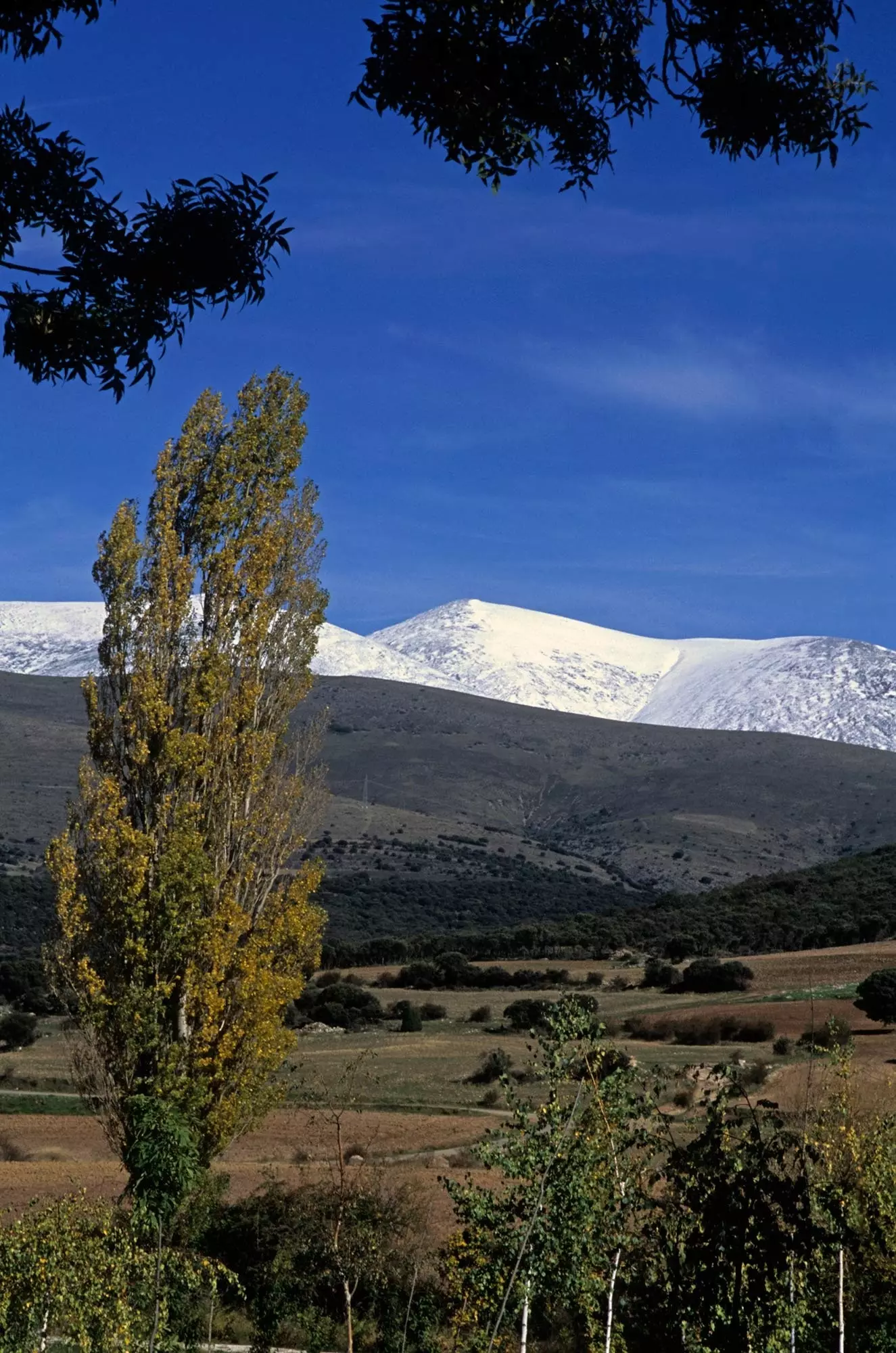 Moncayo