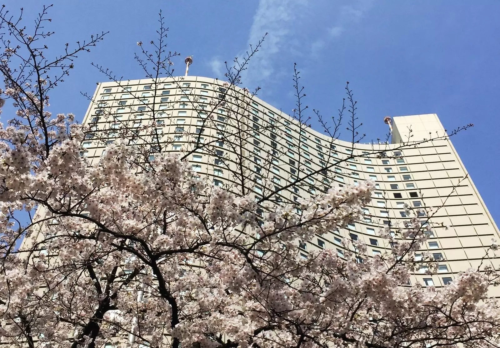 Tokyo Hilton күйөрмандарды тосуп алуу үчүн даярдыктарын улантууда.