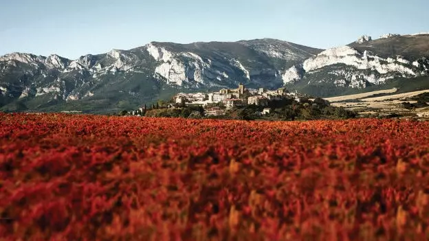 Casa Primicia: najstarija vinarija na planetu