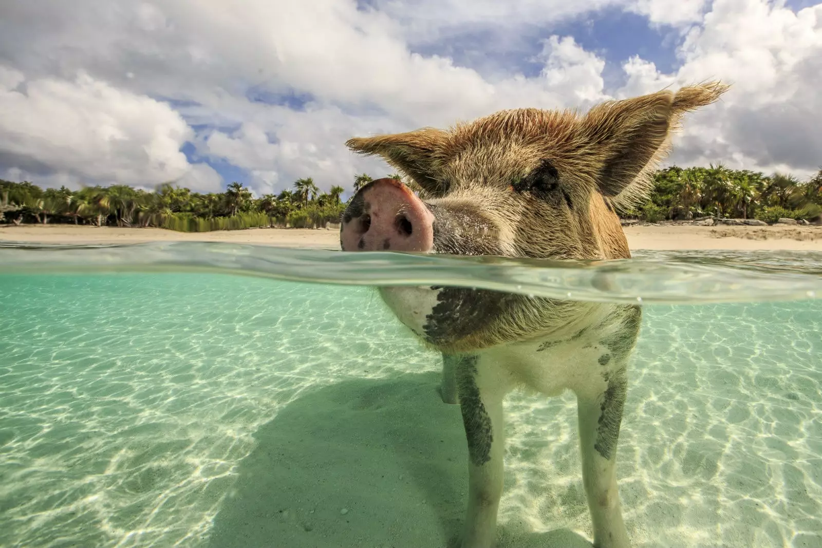 Bahamas Inselen.