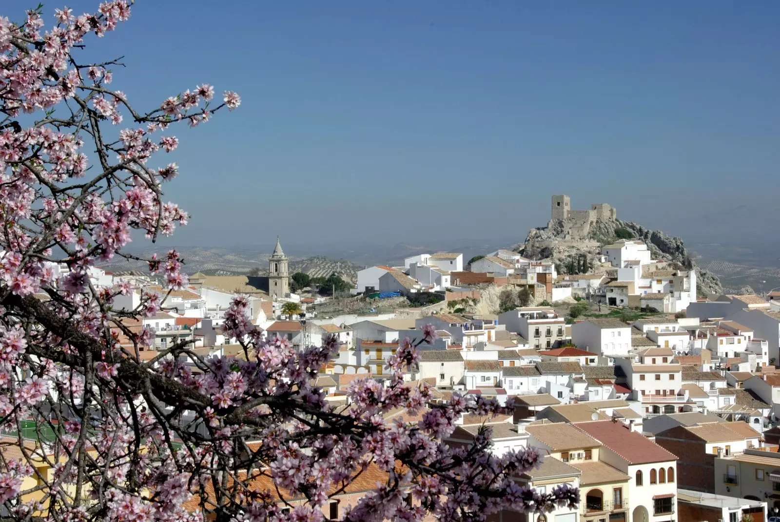 Walking among blooming almond trees in the bank town of Luque may be one of the options.