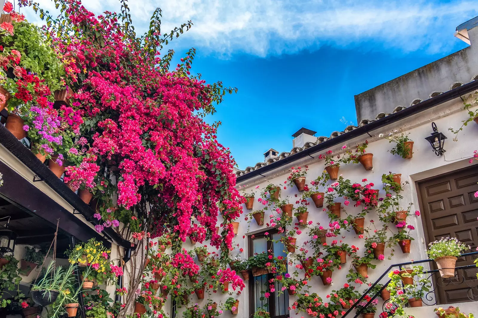 De lente gaat door... en de verzorgers van de patio's van Córdoba zorgen ervoor