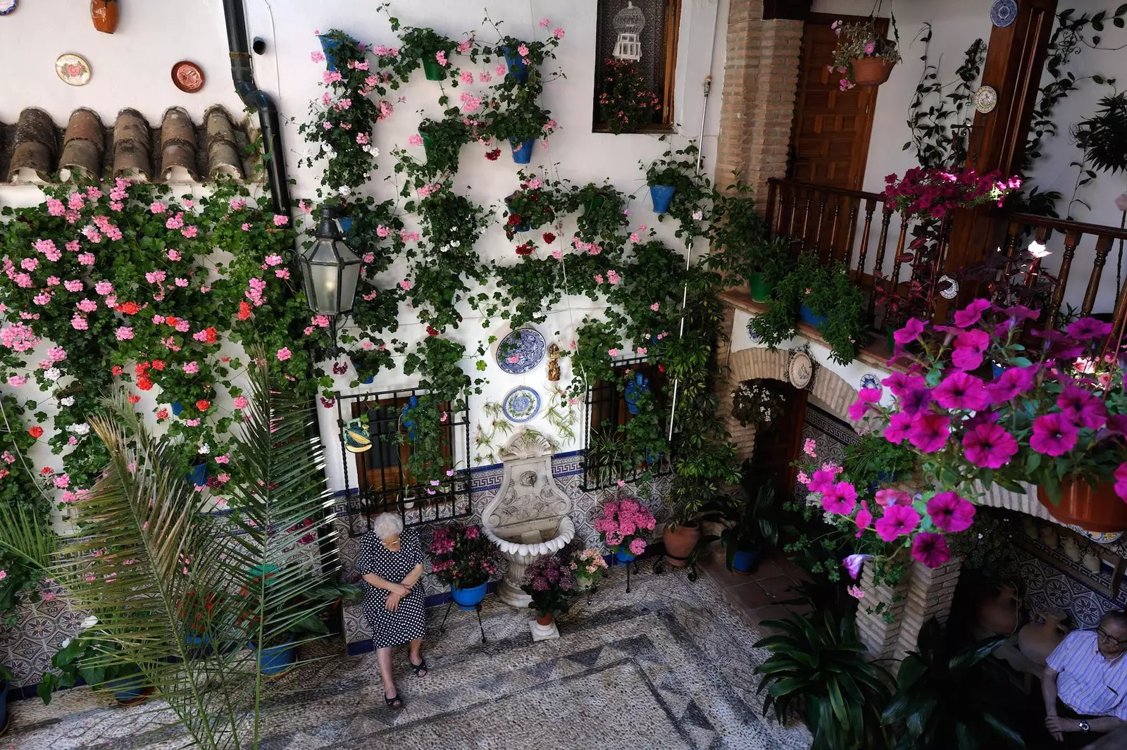 Min jieħu ħsieb il-patios ta’ Córdoba