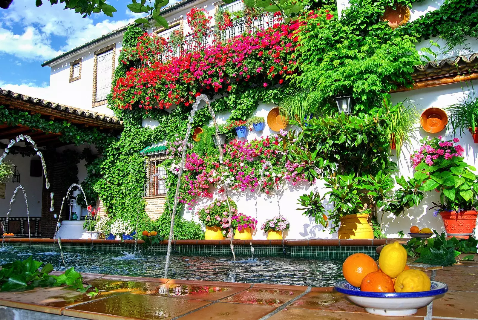 Cortile di Anselmo Cordoba