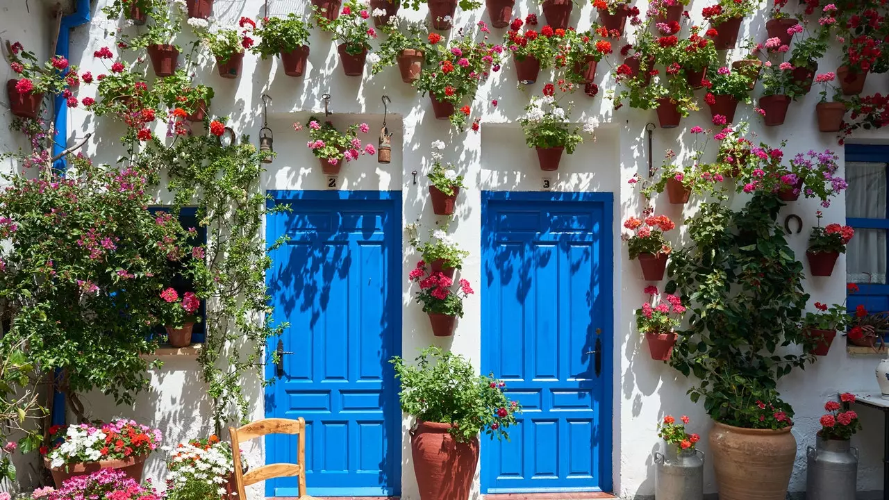 Sechs Erfarunge fir d'Patioen vu Córdoba ouni Schlaangen ze liewen