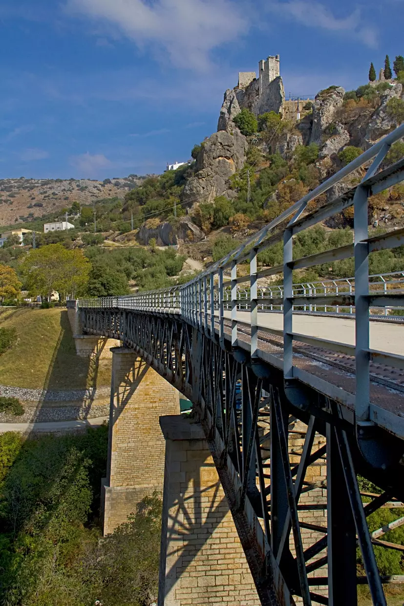 ნავთობის მწვანე გზა