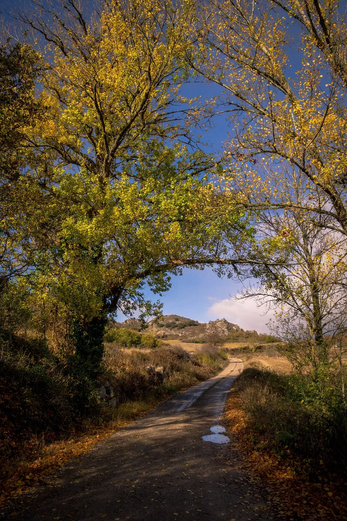 Geopark Las Loras