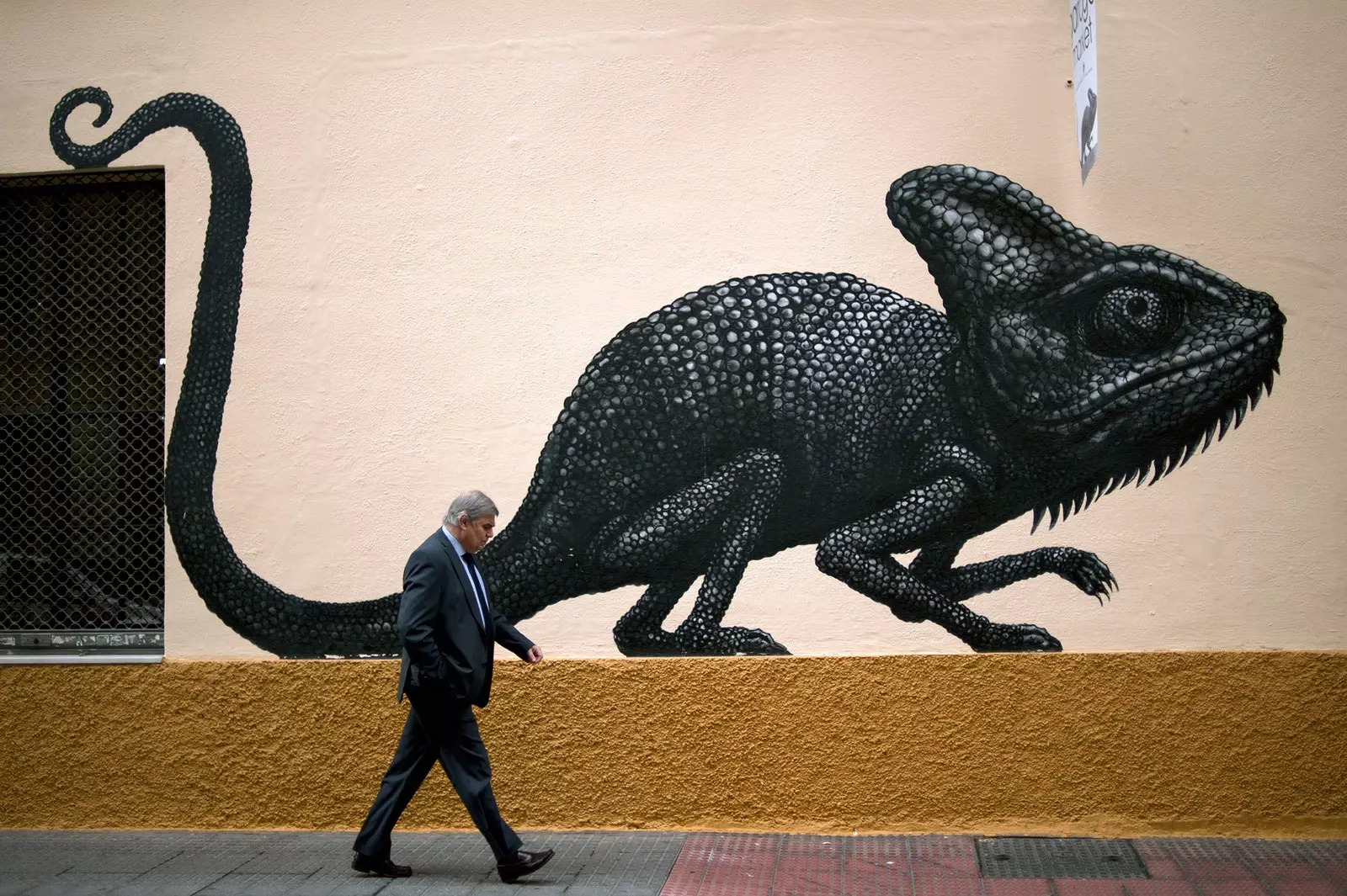 ROA-in kameleon