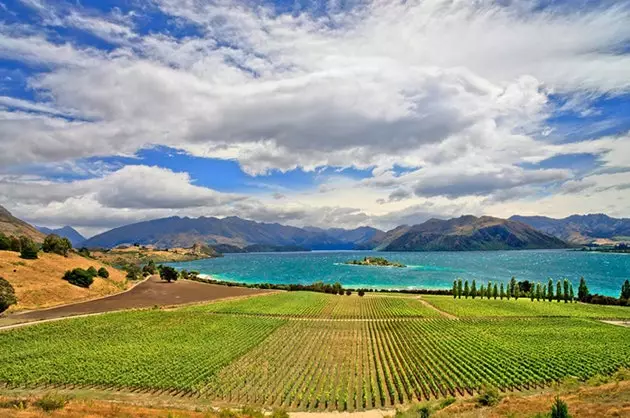 Yeni Zelanda'da Wanaka Gölü iyi şaraplar ülkesi