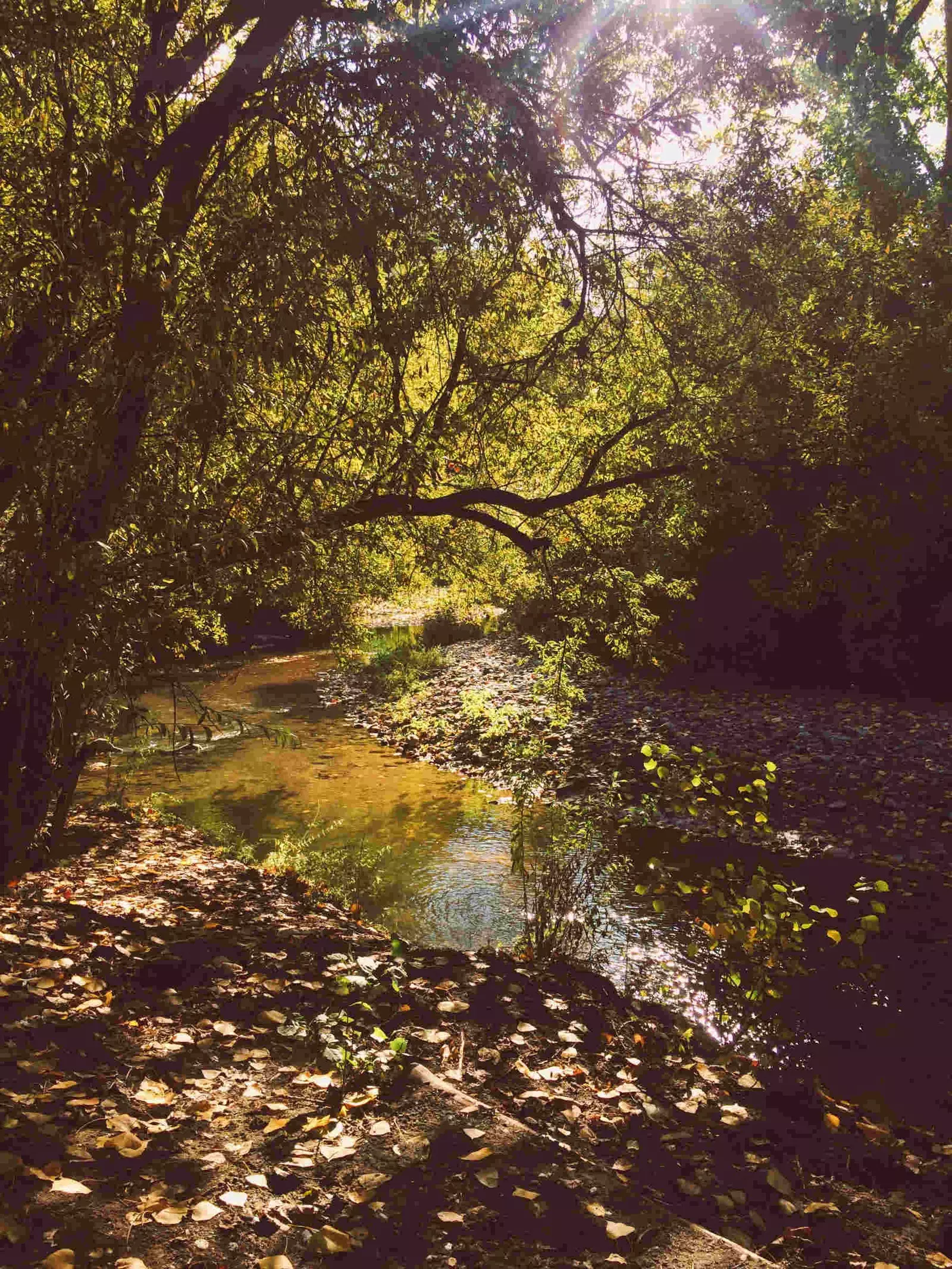 Rio Genal czysty entuzjazm